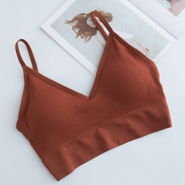 Crop Top Bra