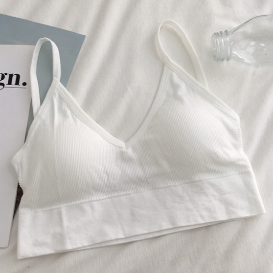 Crop Top Bra