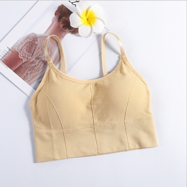 Crop Top Bra