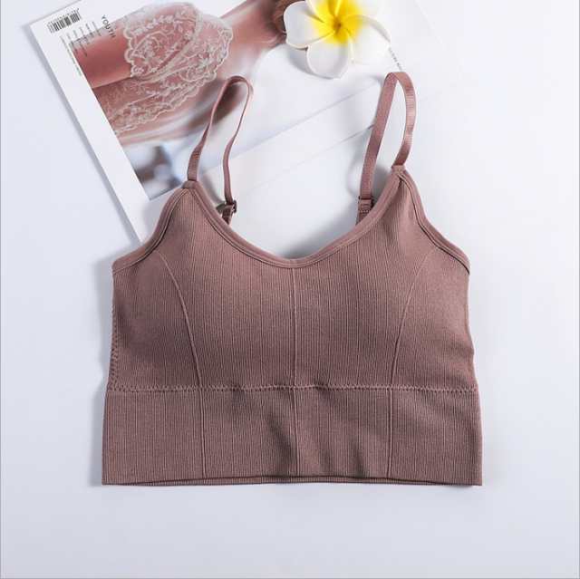 Crop Top Bra