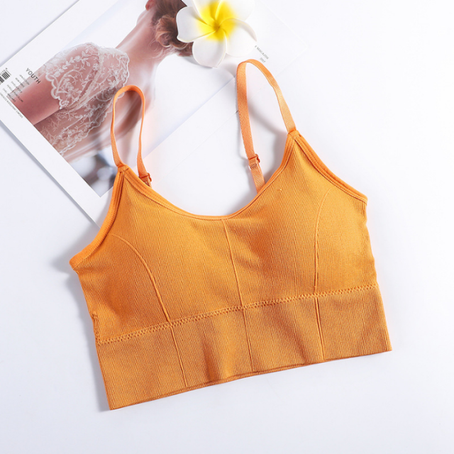 Crop Top Bra