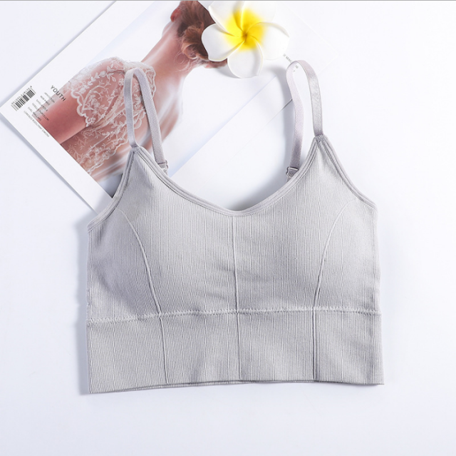 Crop Top Bra