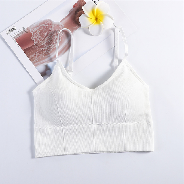 Crop Top Bra