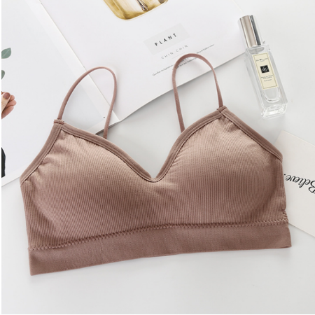 Crop Top Bra