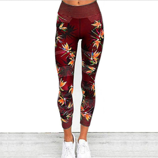 Yoga Pants