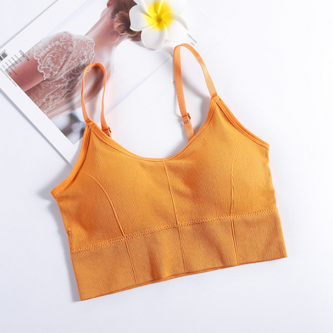 Image of Crop Top Bra